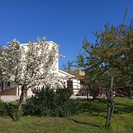 Sotto L'Ulivo Bed & Breakfast Mondavio Exterior foto