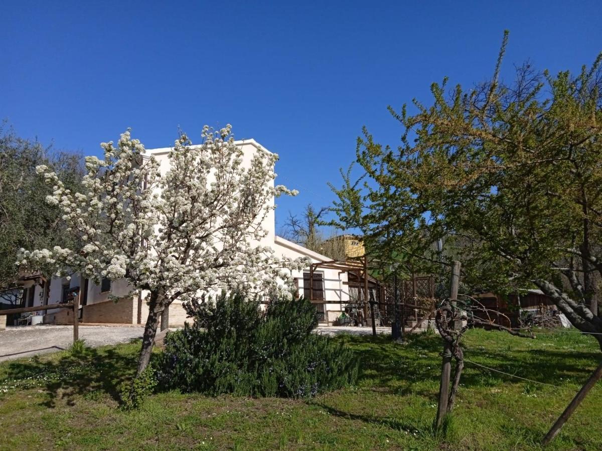 Sotto L'Ulivo Bed & Breakfast Mondavio Exterior foto